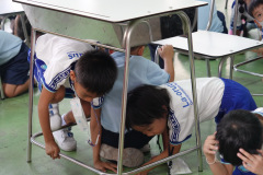 88_resize