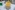 IMG_0061_resize