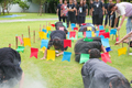 รูป-120