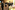 6P3A8873_resize