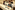 6P3A8895_resize