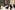 6P3A9131_resize