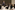 6P3A9134_resize