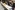IMG_9012_resize