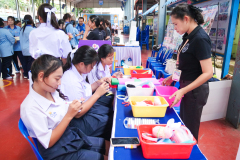 รูป-11