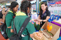 รูป-35