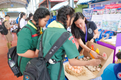 รูป-36