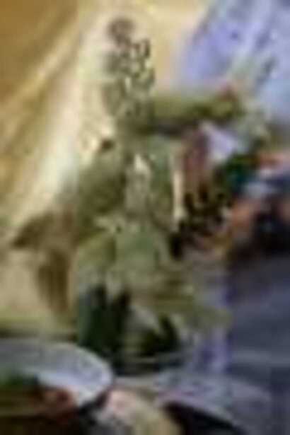 1 (15)