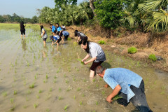 LINE_ALBUM_กำนันสุเมศ-5-มีค-69_260305_1