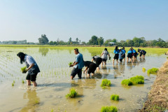 LINE_ALBUM_กำนันสุเมศ-5-มีค-69_260305_13