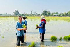 LINE_ALBUM_กำนันสุเมศ-5-มีค-69_260305_6