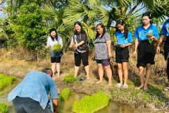 LINE_ALBUM_กำนันสุเมศ-5-มีค-69_260305_7