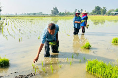 LINE_ALBUM_กำนันสุเมศ-5-มีค-69_260305_8