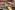AP7A8387_resize