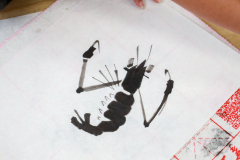 AP7A1548