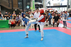 AP7A5737_resize