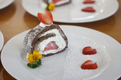 LINE_ALBUM_2026.3.5_260305_254