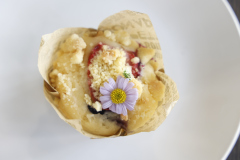 LINE_ALBUM_2026.3.5_260305_26