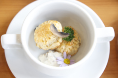 LINE_ALBUM_2026.3.5_260305_261