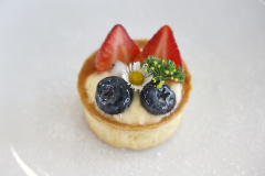 LINE_ALBUM_2026.3.5_260305_280