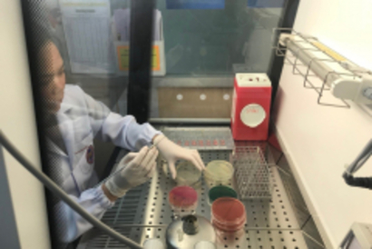 20181206_181206_0003