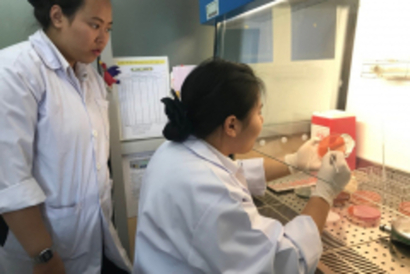 20181206_181206_0005