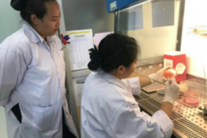 20181206_181206_0032