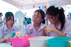 รูป-31