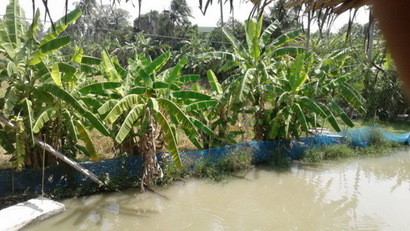 165935_resize