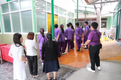 61_resize