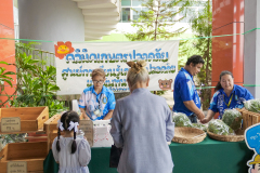 P1336243