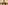 1_resize