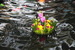 AP7A6875_resize