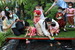 AP7A6921_resize