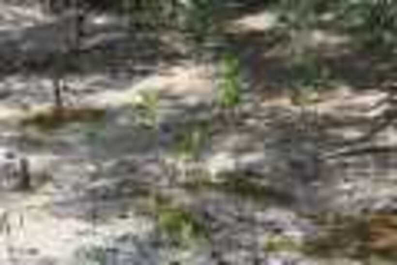 img_0406_resize