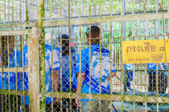 รูป-262