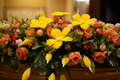 DSC00918_resize