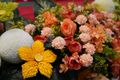 DSC00946_resize