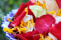 LINE_ALBUM_พิธีบวงสรวง-2569_260109_190