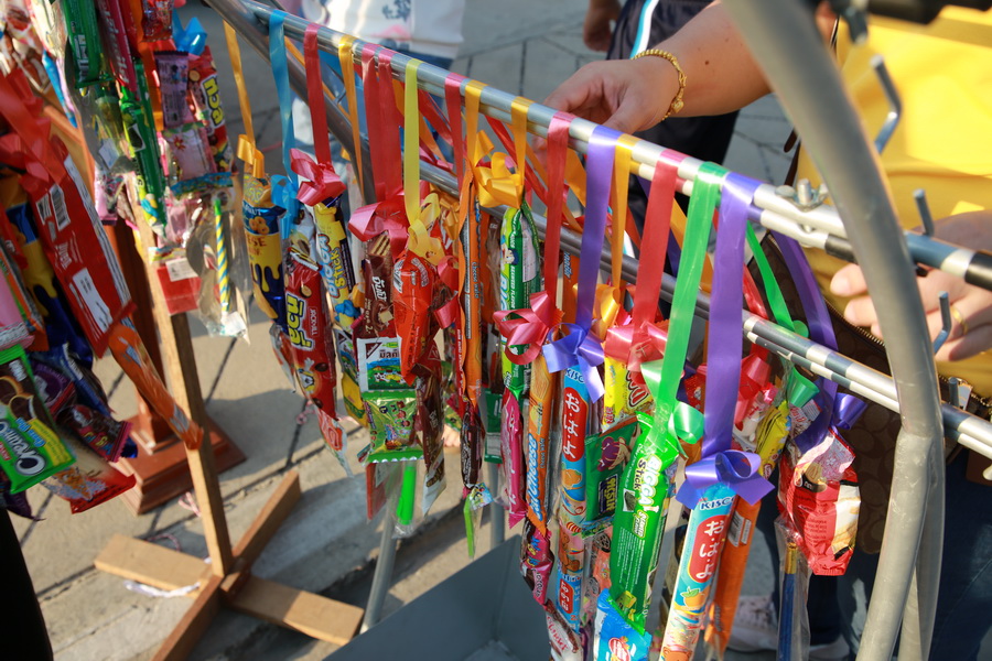 6P3A0033_resize
