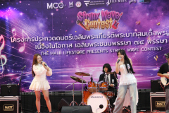 IMG_8964_0_0