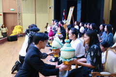 Resize-1382