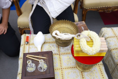 Resize-2221