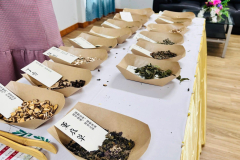 LINE_ALBUM_2026.8.19_260820_21