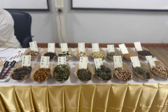 LINE_ALBUM_2026.8.19_260820_34