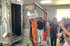 LINE_ALBUM_2026.9.28_260930_30