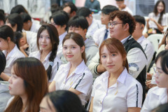 Resize-242
