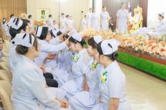Resize-208