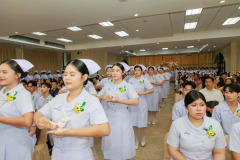 Resize-238