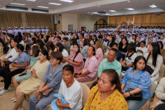 Resize-245